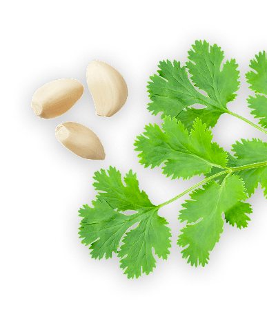 Bottom right herbs